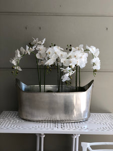 Lady Silver Tub