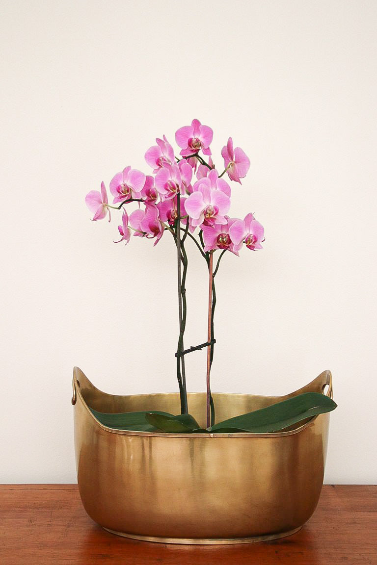 Beauté Tub