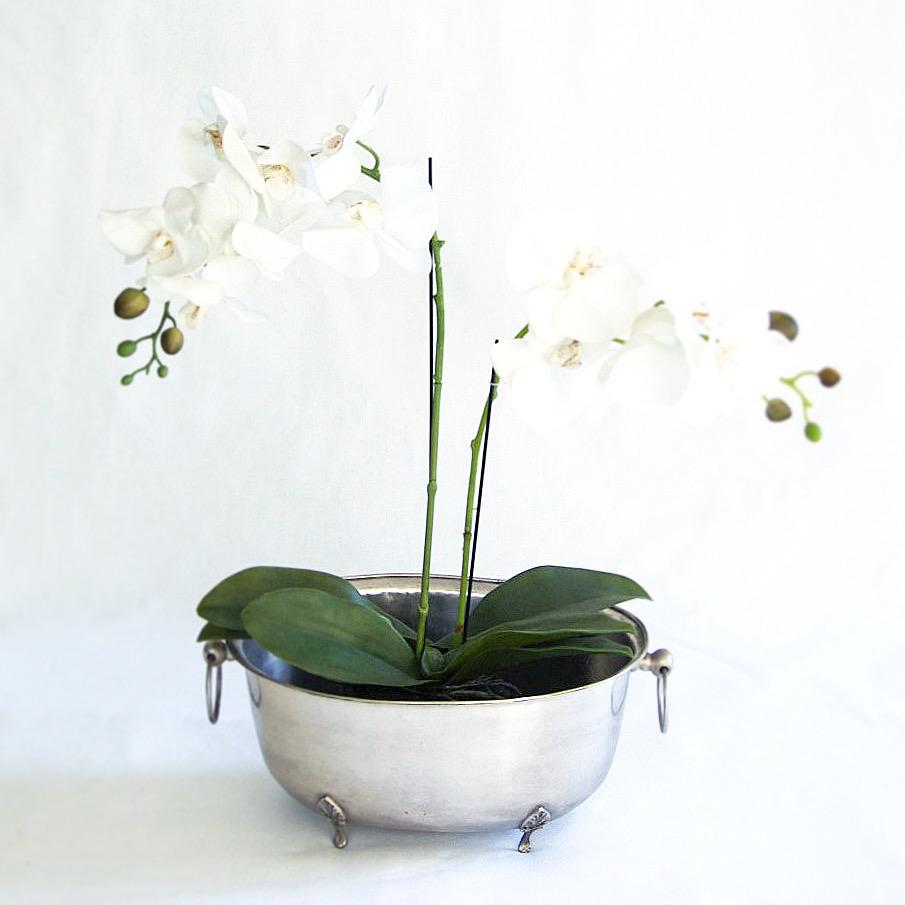 Tub Planter