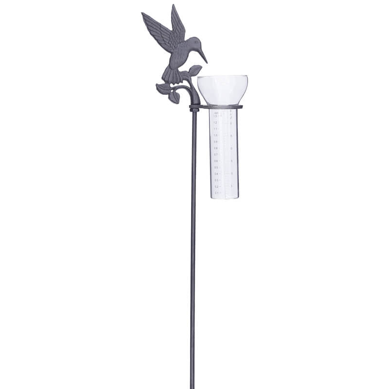 Humming Bird Rain Gauge